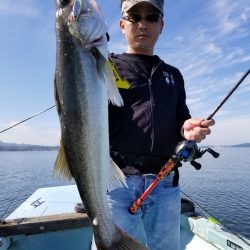 アマテラス 釣果