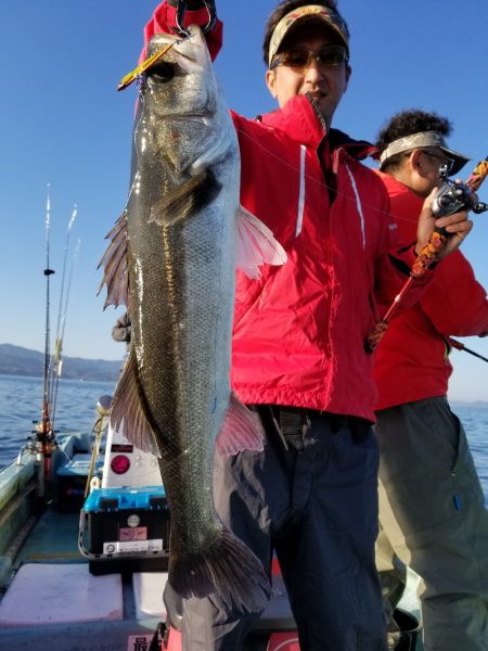 アマテラス 釣果