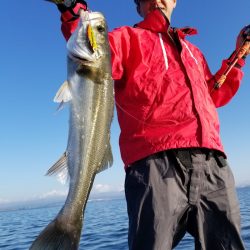 アマテラス 釣果