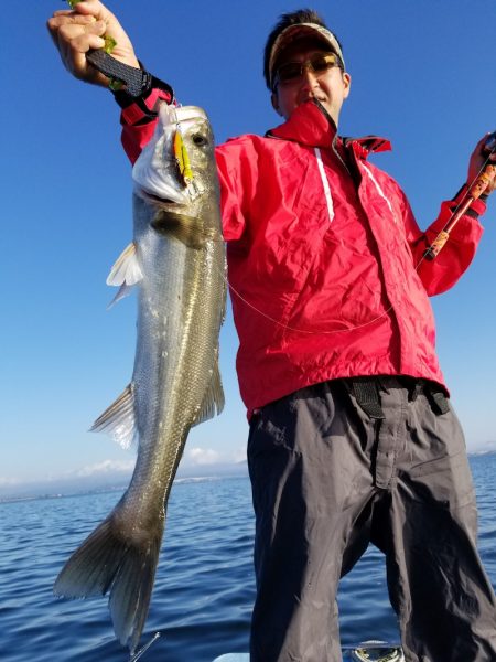 アマテラス 釣果