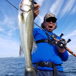 アマテラス 釣果