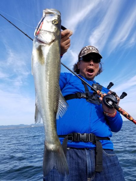 アマテラス 釣果