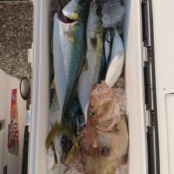 エンペラー 釣果