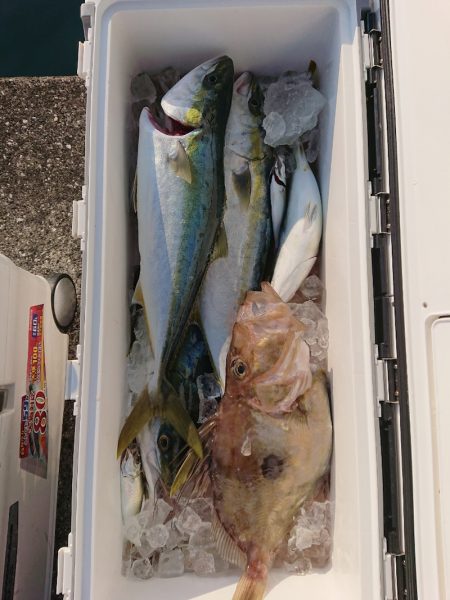 エンペラー 釣果