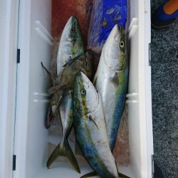 エンペラー 釣果