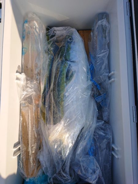 エンペラー 釣果