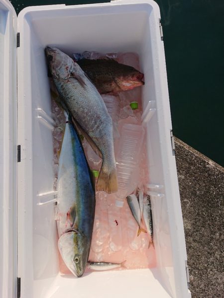 エンペラー 釣果