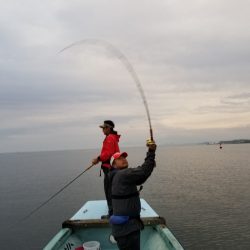 アマテラス 釣果