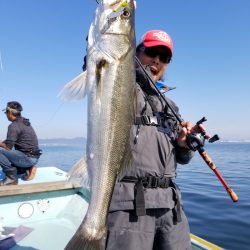 アマテラス 釣果