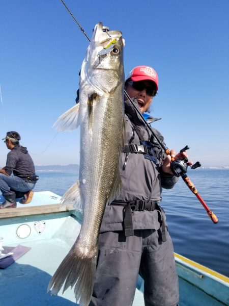 アマテラス 釣果