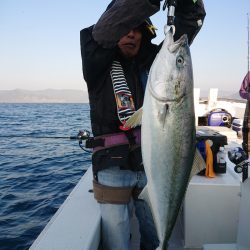 エンペラー 釣果