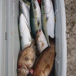 エンペラー 釣果