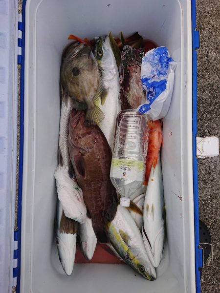 エンペラー 釣果