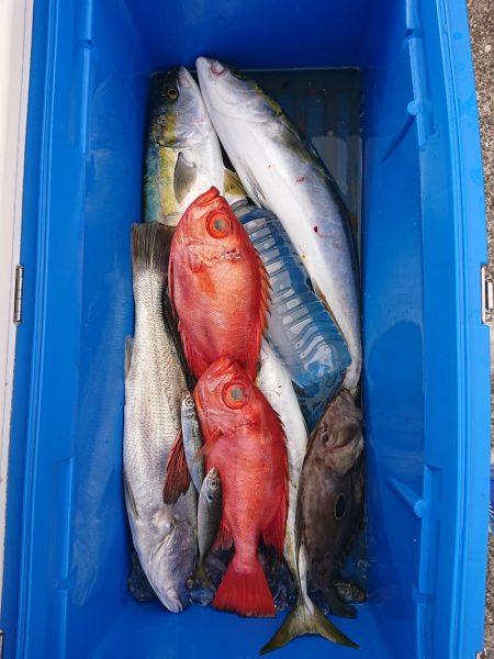 エンペラー 釣果