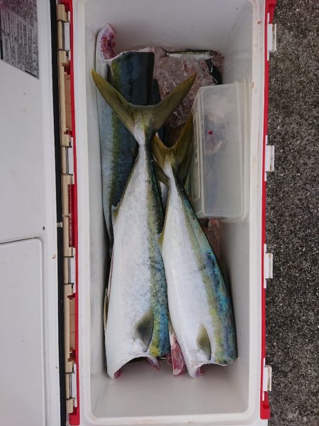 エンペラー 釣果