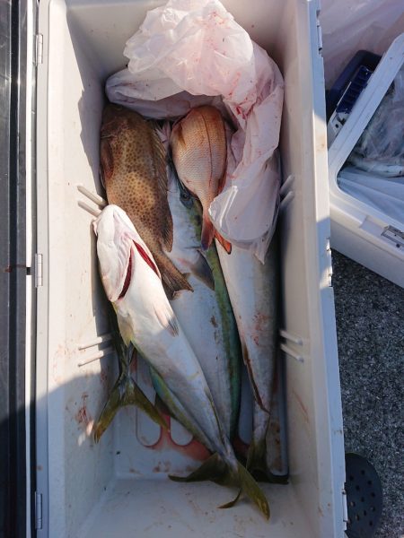 エンペラー 釣果