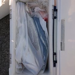 エンペラー 釣果