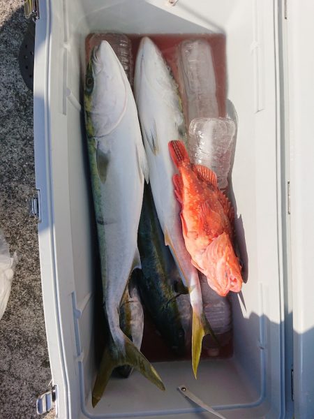 エンペラー 釣果