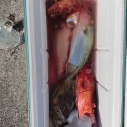 エンペラー 釣果