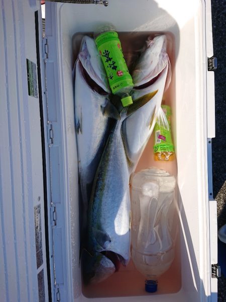 エンペラー 釣果