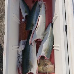 エンペラー 釣果