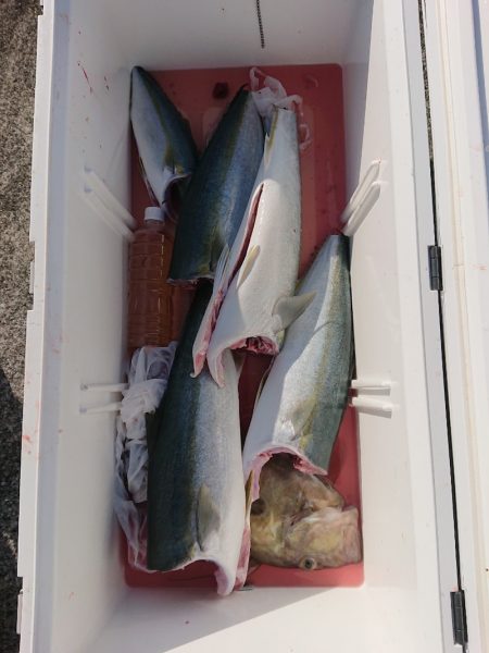 エンペラー 釣果