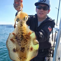 ソルトウォーターガイドフレンズ 釣果