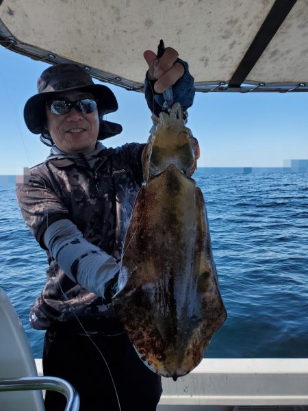 ソルトウォーターガイドフレンズ 釣果