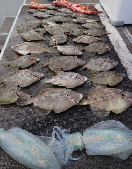 ブルースフィッシングサービス 釣果