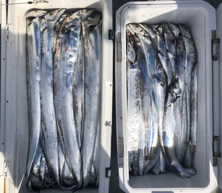 フィッシング キッタカ 釣果