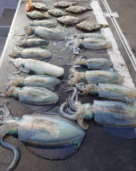 ブルースフィッシングサービス 釣果