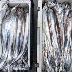 フィッシング キッタカ 釣果