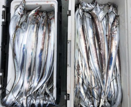 フィッシング キッタカ 釣果