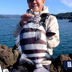 渡船屋たにぐち 釣果