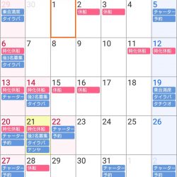 遊漁船 家入 釣果