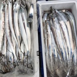 フィッシング キッタカ 釣果