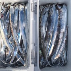 フィッシング キッタカ 釣果