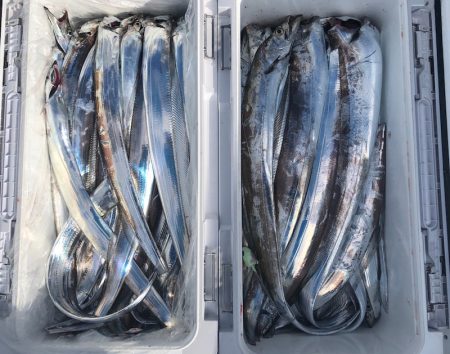 フィッシング キッタカ 釣果