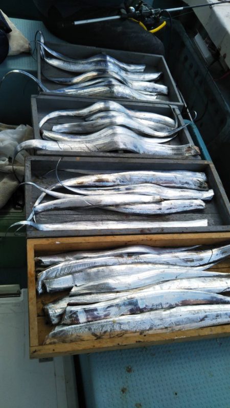 岡田釣船 八英丸 釣果