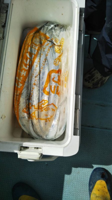 岡田釣船 八英丸 釣果