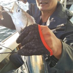 岡田釣船 八英丸 釣果