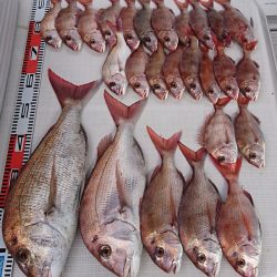 遊漁船　家入 釣果