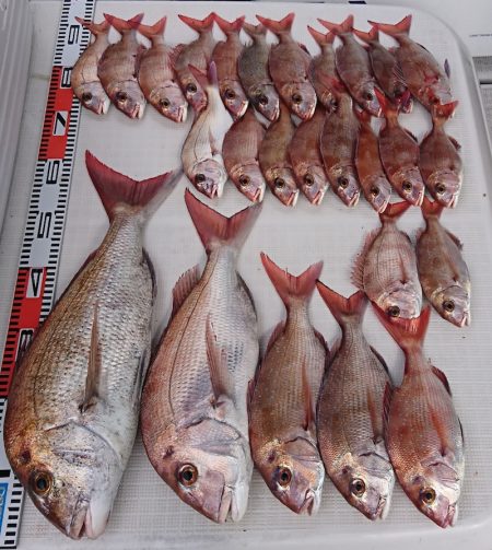 遊漁船　家入 釣果