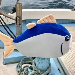 龍神丸(鹿児島) 釣果