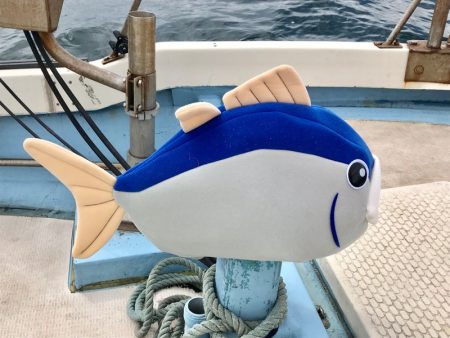 龍神丸(鹿児島) 釣果