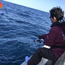 幕島丸 釣果
