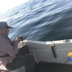 幕島丸 釣果