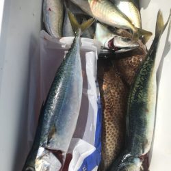 龍神丸(鹿児島) 釣果