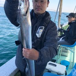 ヤザワ渡船 釣果