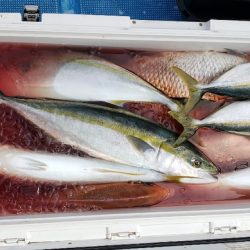 海龍丸(石川) 釣果